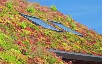Creekmoor living roof systems
