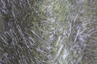 Creekmoor fibreglass roof work